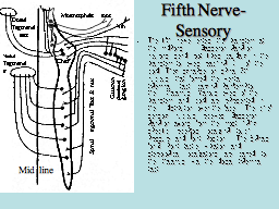 Fifth Nerve- Sensory