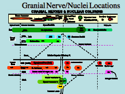 Slide 46